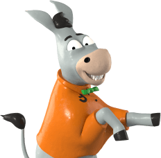 Donkey